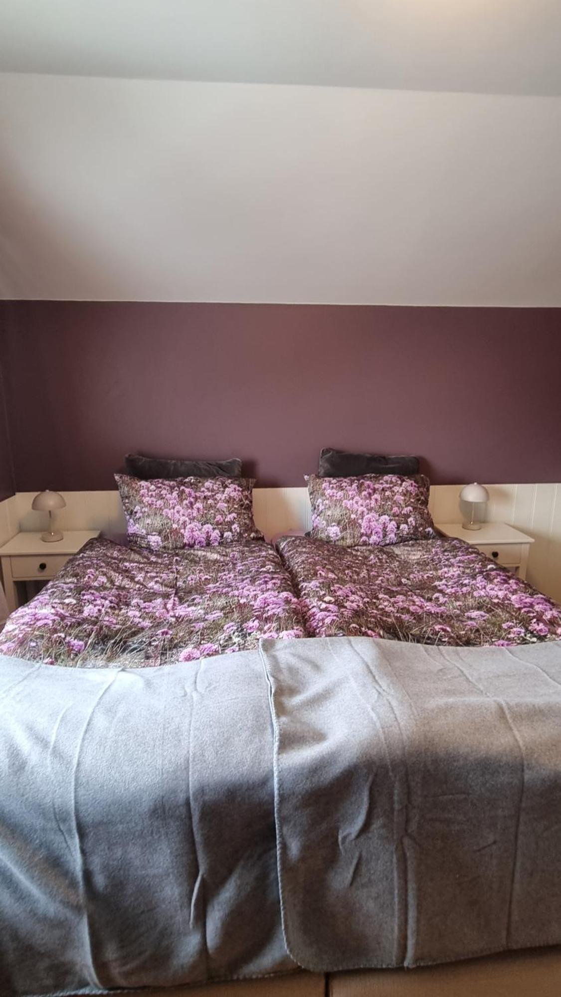 Fornilaekur Guesthouse Blonduos Exteriér fotografie
